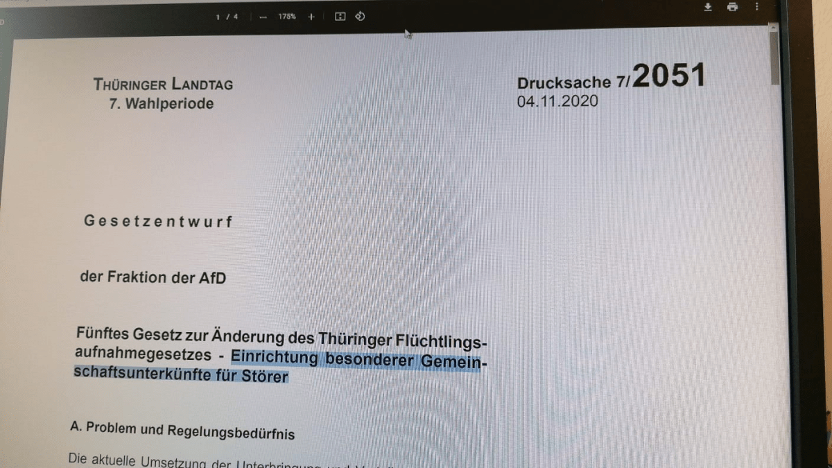 L’AfD chiede i Lager e nessuno ne&nbsp;parla