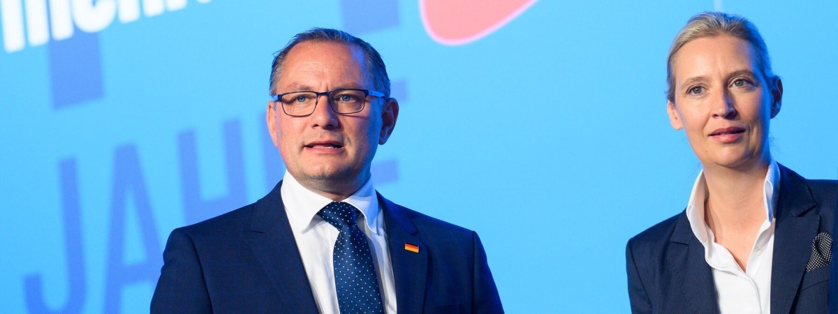 Cosa ci dice il Congresso di&nbsp;AfD